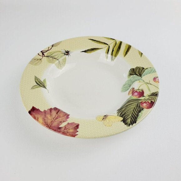 Spode Fruit Haven Rim Soup Bowl Butterfly Bee Fruit & Leaves, Fall Autumn Dishes - Picture 1 of 15